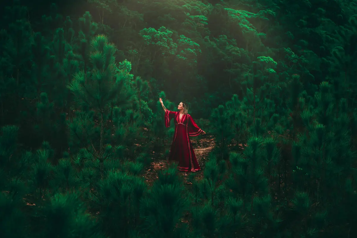 лес, деревья, девушка, платье, зелёные, красные